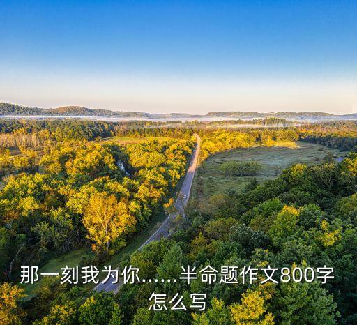 那一刻我為你……半命題作文800字怎么寫