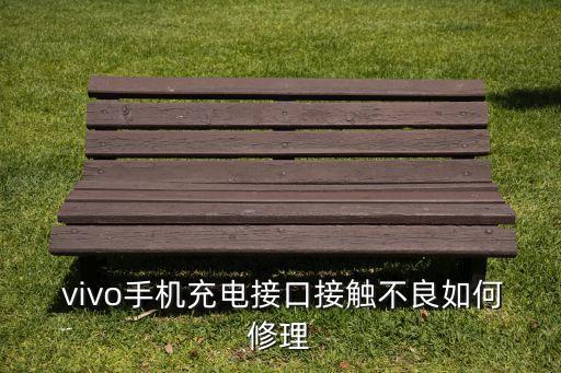 vivo數(shù)據(jù)線端口是白的