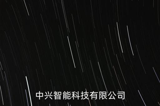 中興智能科技有限公司