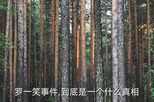 羅一笑事件,到底是一個什么真相