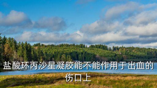 鹽酸環(huán)丙沙星凝膠能不能作用于出血的傷口上