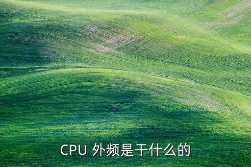 CPU 外頻是干什么的