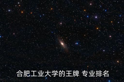  合肥工業(yè)大學(xué)的王牌 專(zhuān)業(yè)排名