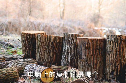 電腦上的復制鍵是哪個