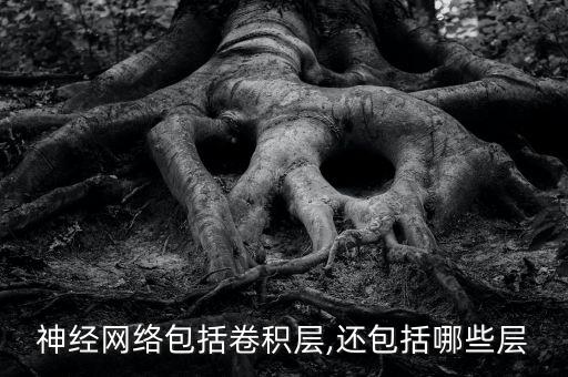 神經(jīng)網(wǎng)絡(luò)結(jié)構(gòu),神經(jīng)網(wǎng)絡(luò)可分為生物和非生物兩類