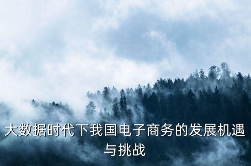 大數(shù)據(jù)時代下我國電子商務(wù)的發(fā)展機遇與挑戰(zhàn)
