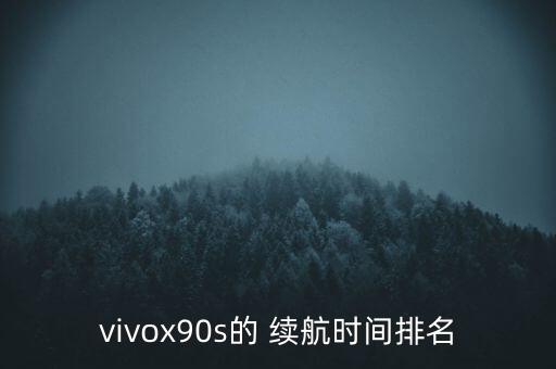 vivox90s的 續(xù)航時間排名