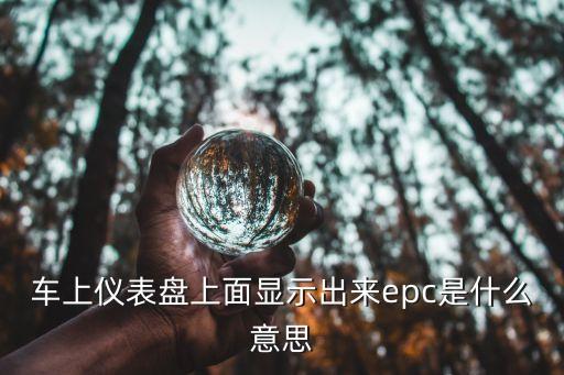 epc什么意思，EPC什么意思啊