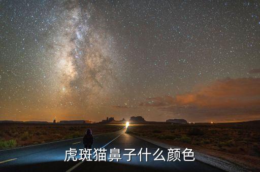 虎斑貓鼻子什么顏色