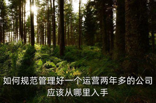 公司怎樣自動(dòng)化運(yùn)營(yíng)管理,什么是自動(dòng)化生產(chǎn)和運(yùn)維?