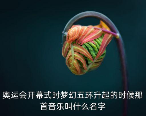 奧運(yùn)會開幕式時夢幻五環(huán)升起的時候那首音樂叫什么名字