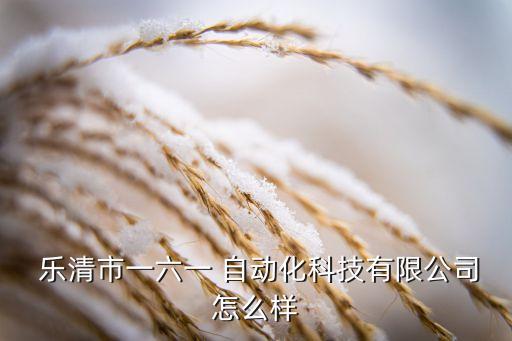  樂清市一六一 自動(dòng)化科技有限公司怎么樣