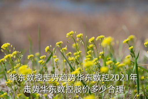 華東數(shù)控走勢趨勢華東數(shù)控2021年走勢華東數(shù)控股價多少合理