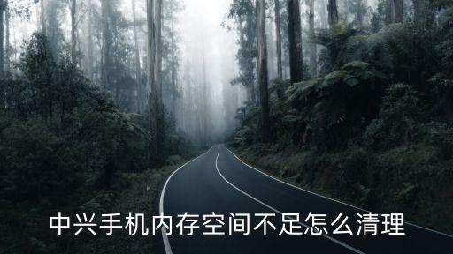 中興手機(jī)內(nèi)存空間不足怎么清理