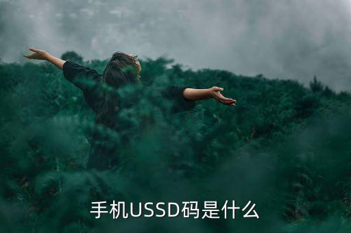 手機(jī)USSD碼是什么