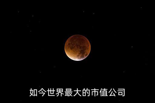 如今世界最大的市值公司