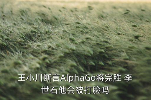 王小川斷言AlphaGo將完勝 李世石他會(huì)被打臉嗎