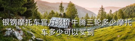 銀鋼摩托車官方報價牛騰三輪多少摩托車多少可以買到