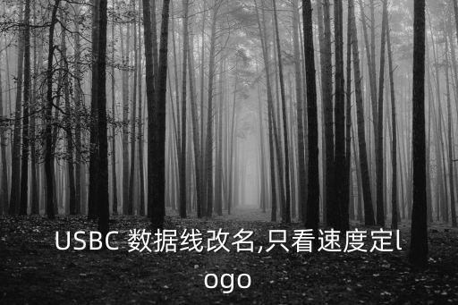 c to c數(shù)據(jù)線,ctoc數(shù)據(jù)線和TYPE C的充電線的區(qū)別