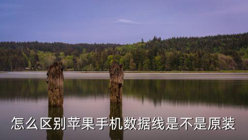 怎么區(qū)別蘋果手機數(shù)據(jù)線是不是原裝