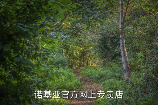 官方網(wǎng)站手機專賣店，諾基亞官方網(wǎng)上專賣店