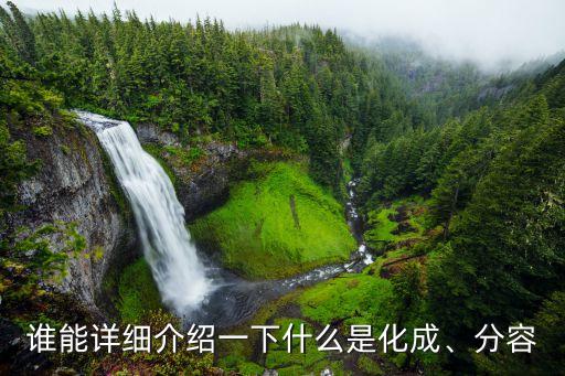 誰能詳細介紹一下什么是化成、分容