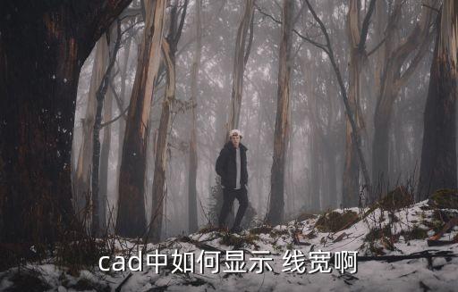 cad中如何顯示 線寬啊