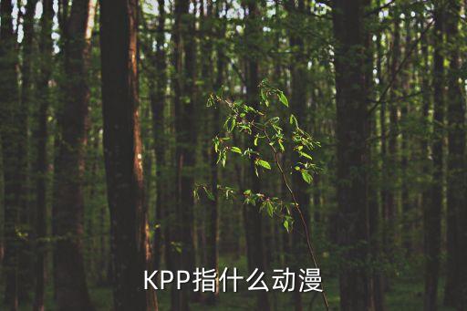 KPP指什么動(dòng)漫