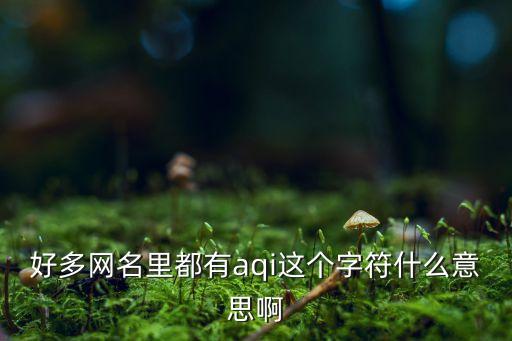 好多網(wǎng)名里都有aqi這個(gè)字符什么意思啊
