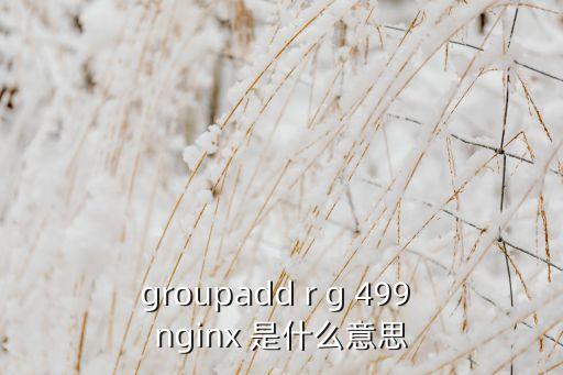 groupadd r g 499 nginx 是什么意思