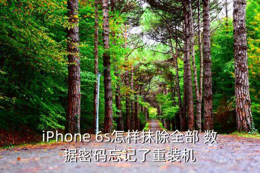 iPhone 6s怎樣抹除全部 數(shù)據(jù)密碼忘記了重裝機(jī)