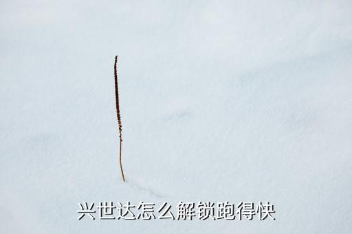 興世達，興世達怎么解鎖跑得快
