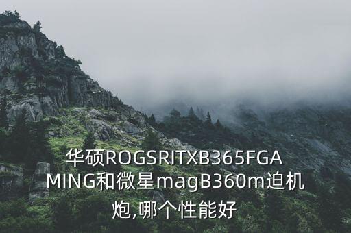 華碩ROGSRITXB365FGAMING和微星magB360m迫機炮,哪個性能好