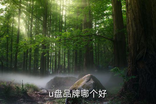 u盤品牌哪個好