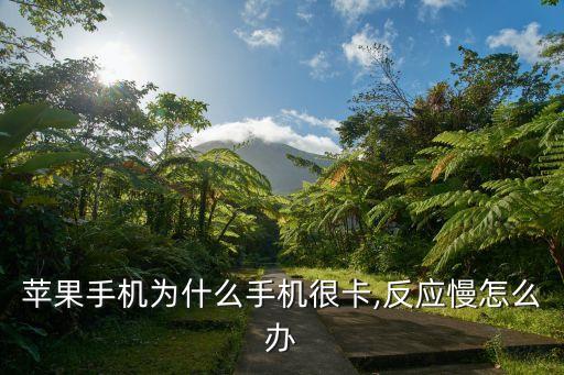 蘋(píng)果手機(jī)為什么手機(jī)很卡,反應(yīng)慢怎么辦