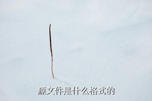 源文件是什么格式的