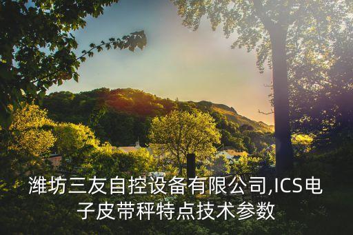 三友自動化公司,三友化工公司業(yè)績怎么樣?