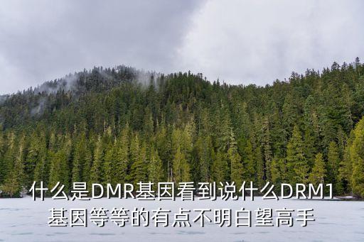 什么是DMR基因看到說什么DRM1基因等等的有點(diǎn)不明白望高手