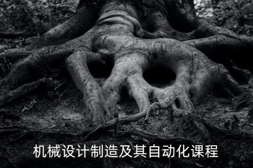 機(jī)械設(shè)計(jì)制造及其自動(dòng)化課程