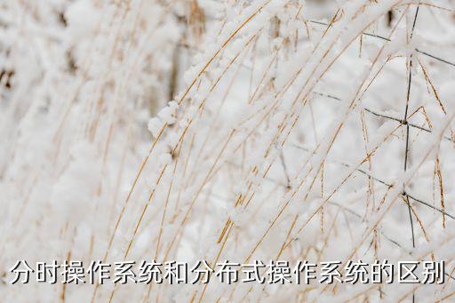 分時操作系統(tǒng)，安卓是分時操作系統(tǒng)嗎
