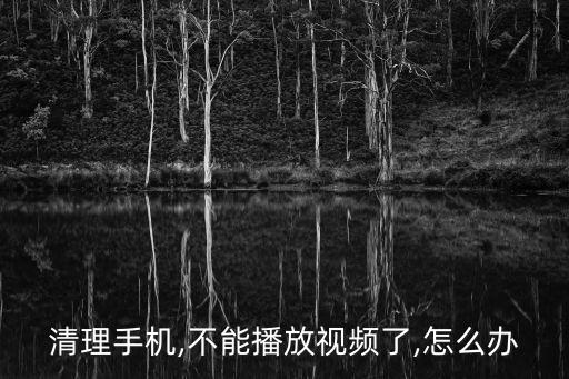 清理手機(jī),不能播放視頻了,怎么辦
