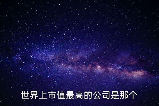 市值最高的公司排名榜，世界上市值最高的公司是那個