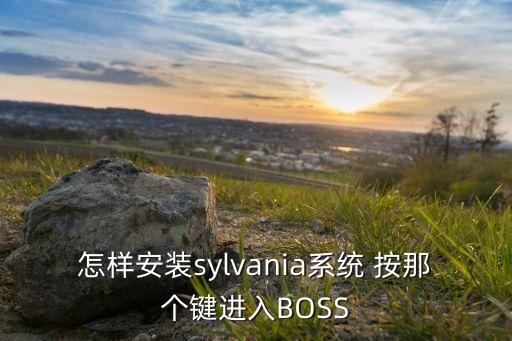 怎樣安裝sylvania系統(tǒng) 按那個(gè)鍵進(jìn)入BOSS