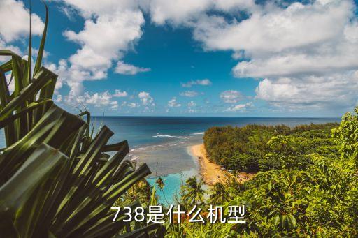 738是什么機(jī)型