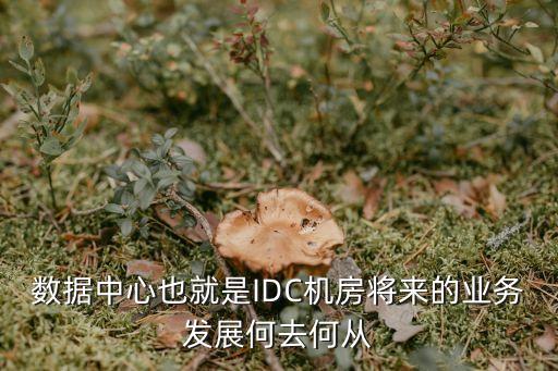 數(shù)據(jù)中心也就是IDC機(jī)房將來的業(yè)務(wù)發(fā)展何去何從