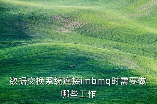 數(shù)據(jù)交換系統(tǒng)連接imbmq時(shí)需要做哪些工作