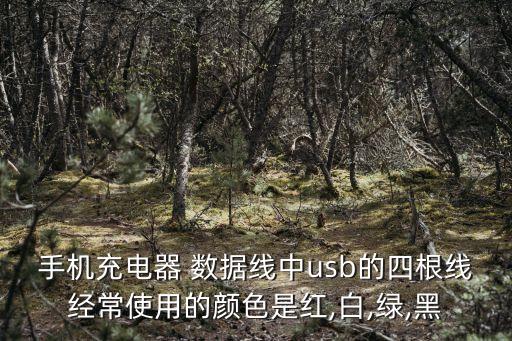 數(shù)據(jù)線變成紅色了怎么辦