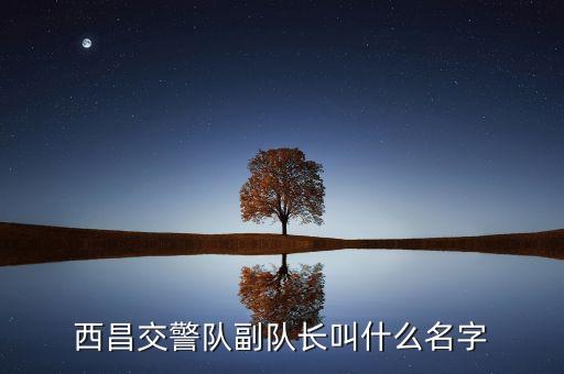 西昌交警隊副隊長叫什么名字