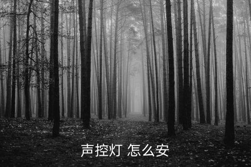 聲控?zé)?怎么安