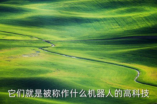 它們就是被稱作什么機器人的高科技